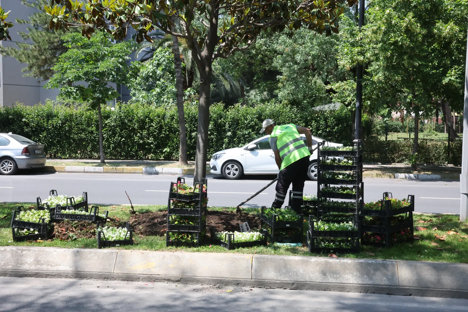 BAKIRKÖY BELEDİYESİ’NDEN YEŞİL ALANLARDA BÜYÜK DÖNÜŞÜM