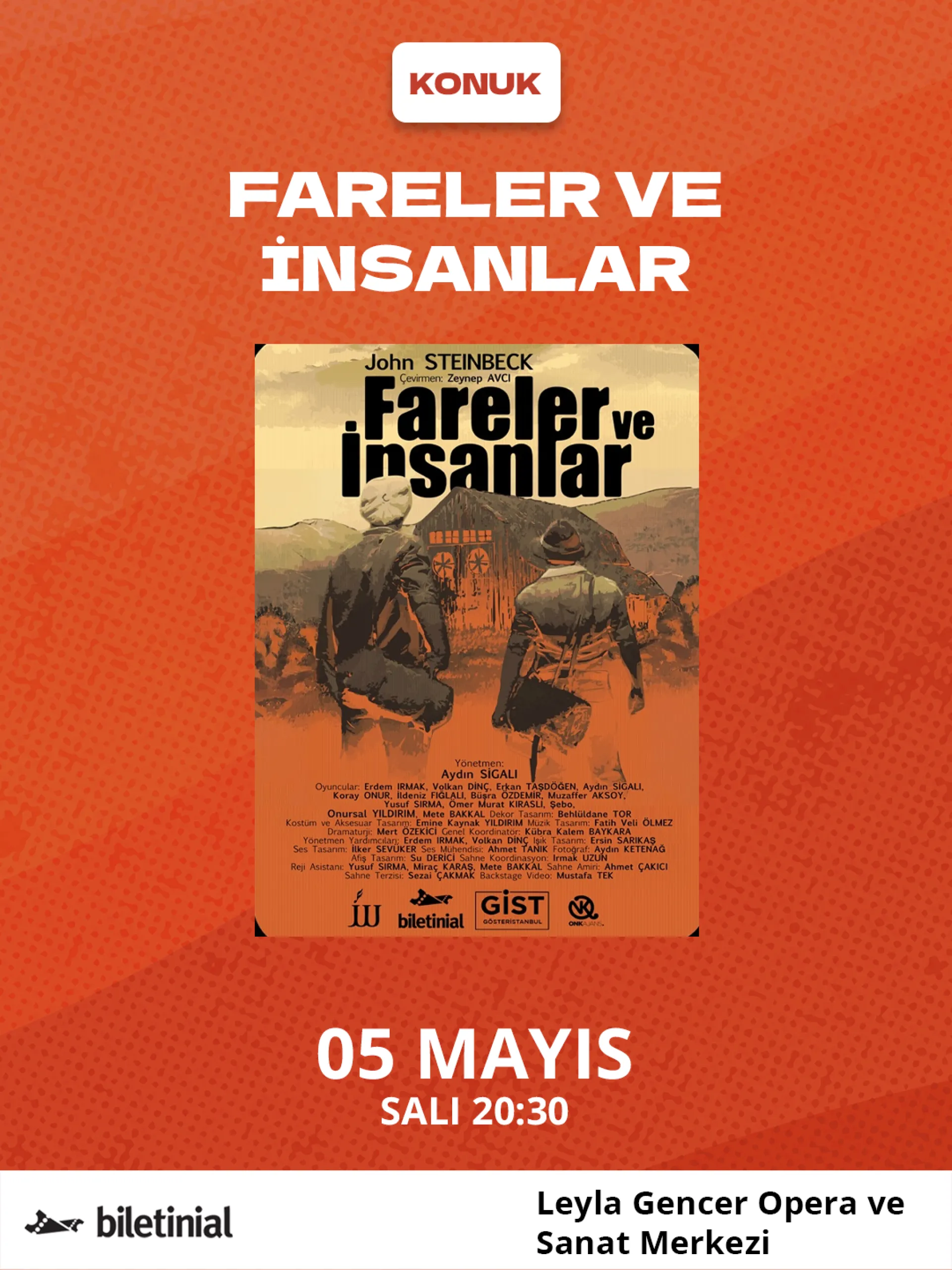 FARELER VE İNSANLAR