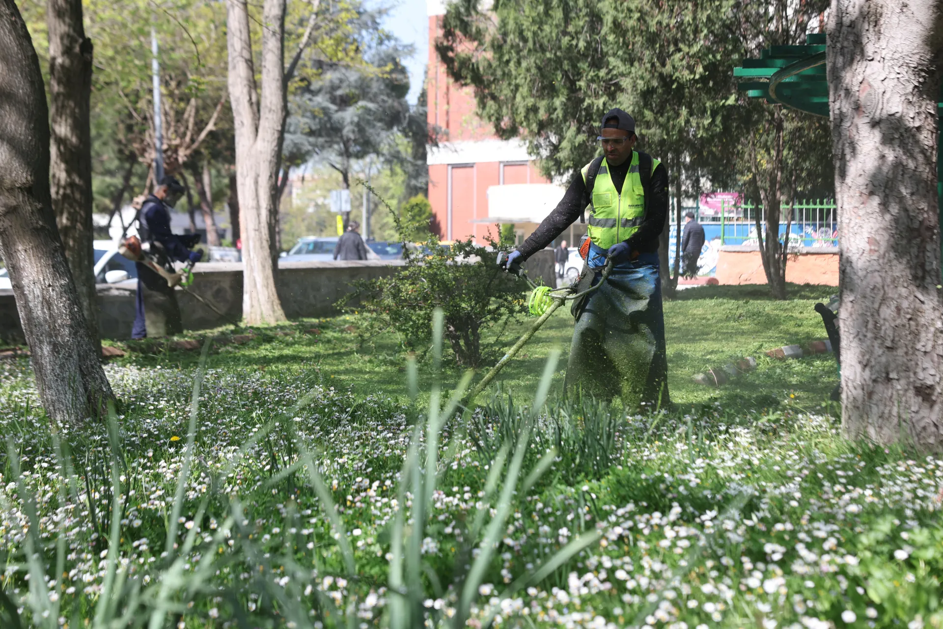 BAKIRKÖY BELEDİYESİ’NDEN YEŞİL ALANLARDA BÜYÜK DÖNÜŞÜM
