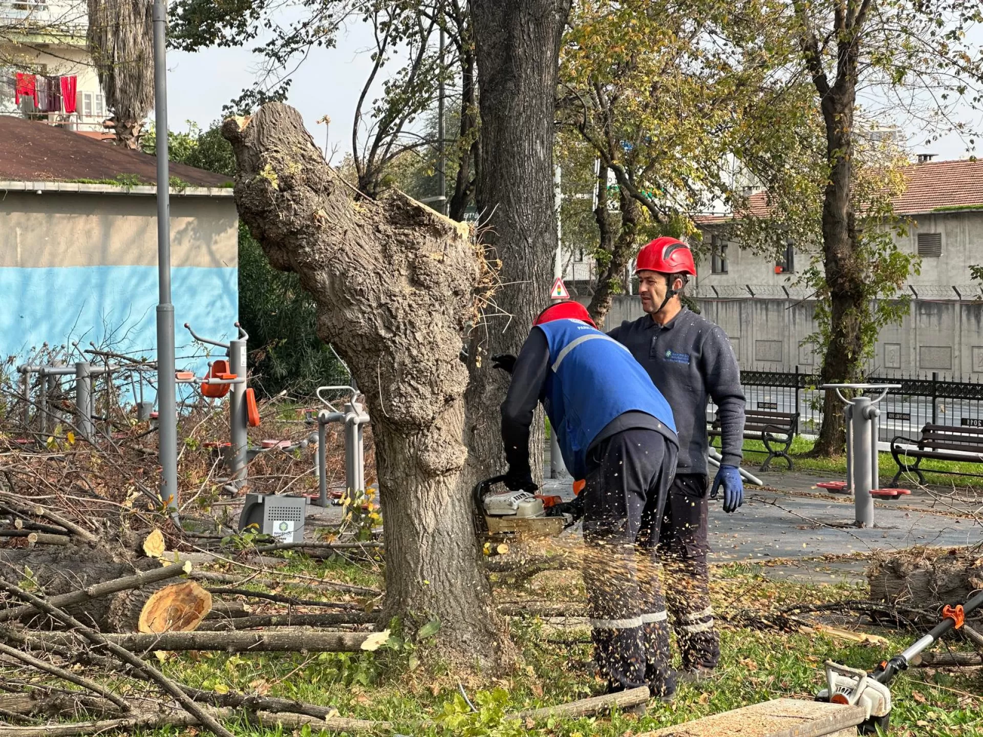 BAKIRKÖY BELEDİYESİ'NDEN TEKE BÖCEĞİNE KARŞI ETKİN MÜCADELE