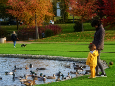 Park ve Bahçeler Müdürlüğü