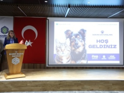 BAKIRKÖY BELEDİYESİ “SOKAK HAYVANLARI ÇALIŞTAYI” DÜZENLEDİ