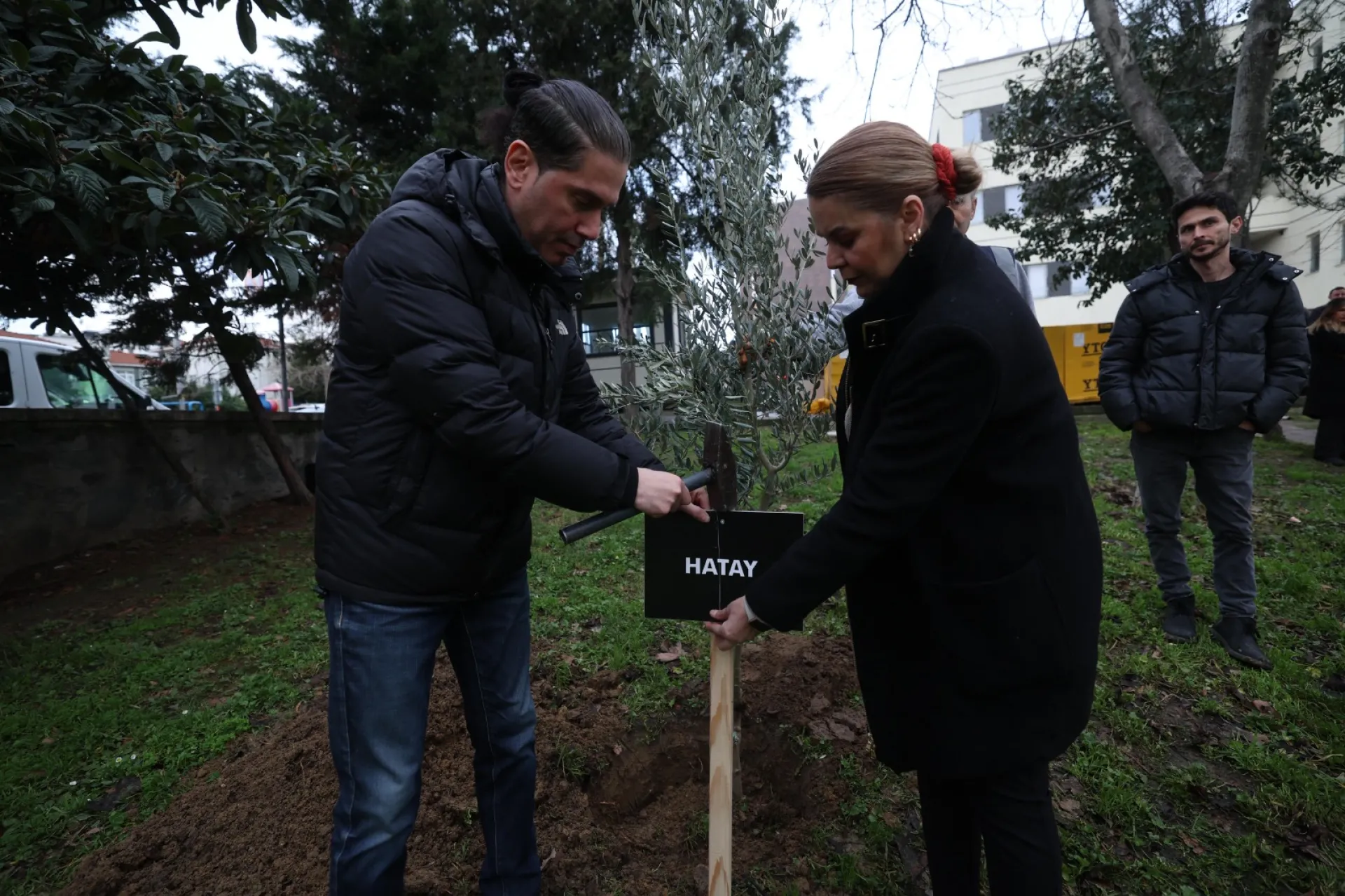 BAKIRKÖY’DE 11 İLİ TEMSİLEN 11 ZEYTİN FİDANI DİKİLDİ