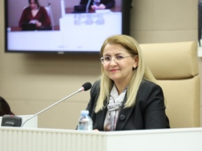 BAKIRKÖY BELEDİYESİ VETERİNER İŞLERİ MÜDÜRLÜĞÜ KURULDU